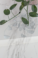 Nos prestations sur le secteur de Temara